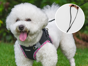 AIITLE Dog Harness for Small Medium Large Dogs No Pull