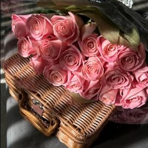 Decorative Prop Suitcase