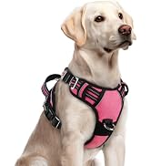 rabbitgoo Dog Harness for Large Dogs, No Pull Pet Vest with 3 Buckles, Adjustable Soft Padded Pet...