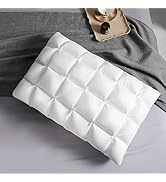 YOUR MOON Soft Pillows Queen Size for Sleeping, Support Bed Pillows, Fluffy Down Alternative Pill...