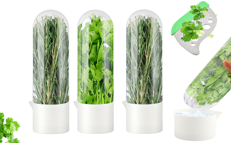 Herb Keeper for Refrigerator