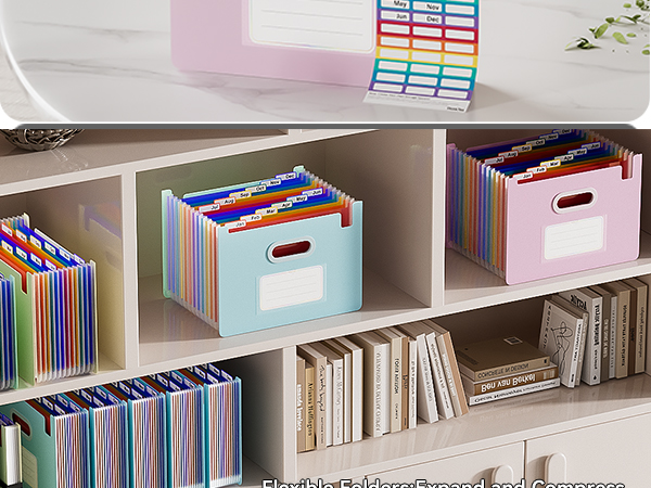 ThinkTex Accordion File Organizer, 12 - Pocket Expanding File Folders