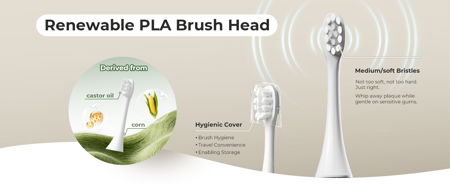toothbrush replacement heads