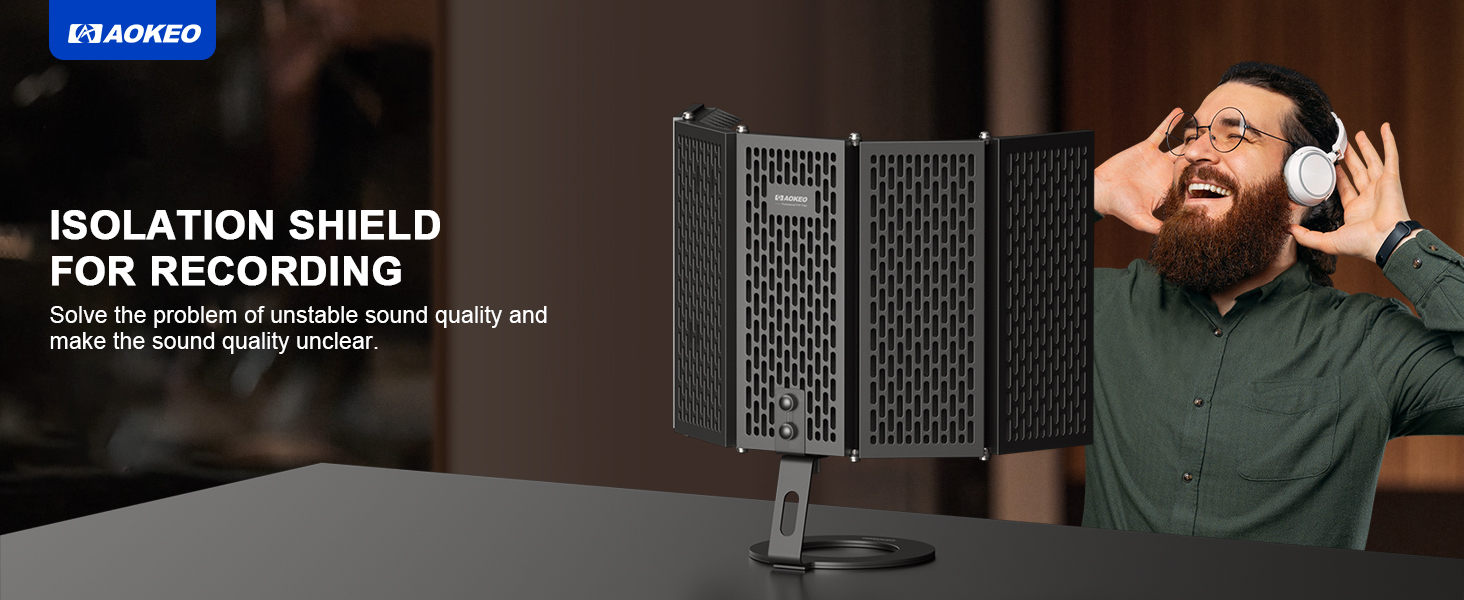 microphone filter