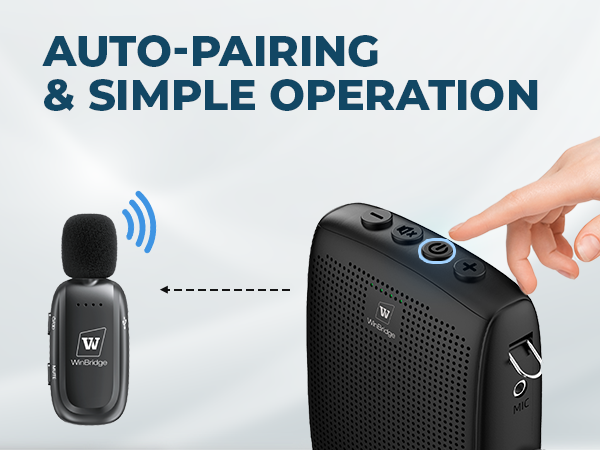 portable speaker with mic