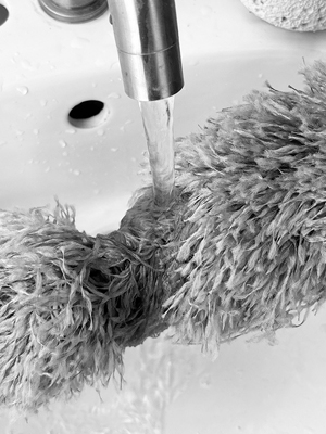 wall duster with extension pole