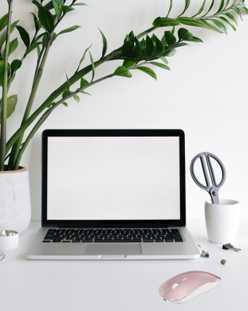 wireless mouse for a macbook pro