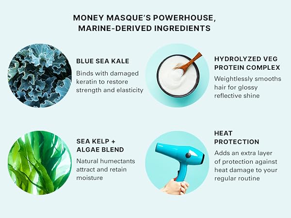 Money Masque Ingredients