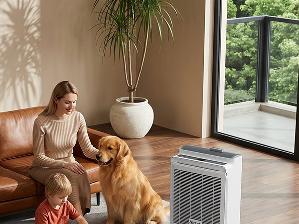 Air Purifier for Home Large Room