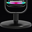 mic