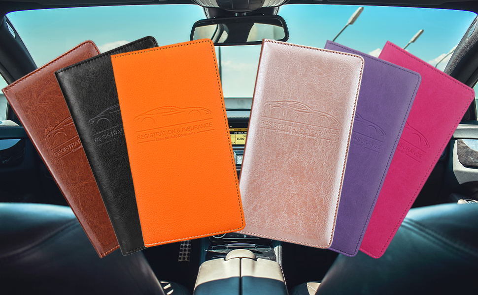 vehicle registration and insurance card holder