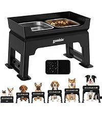 https://m.media-amazon.com/images/I/41DXnAAxmpL.__AC_SR200,225___.jpg
