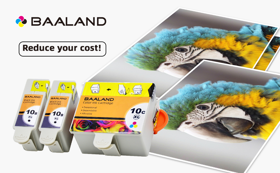 kodak ink cartridges 10b and 10c