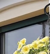 plants hooks