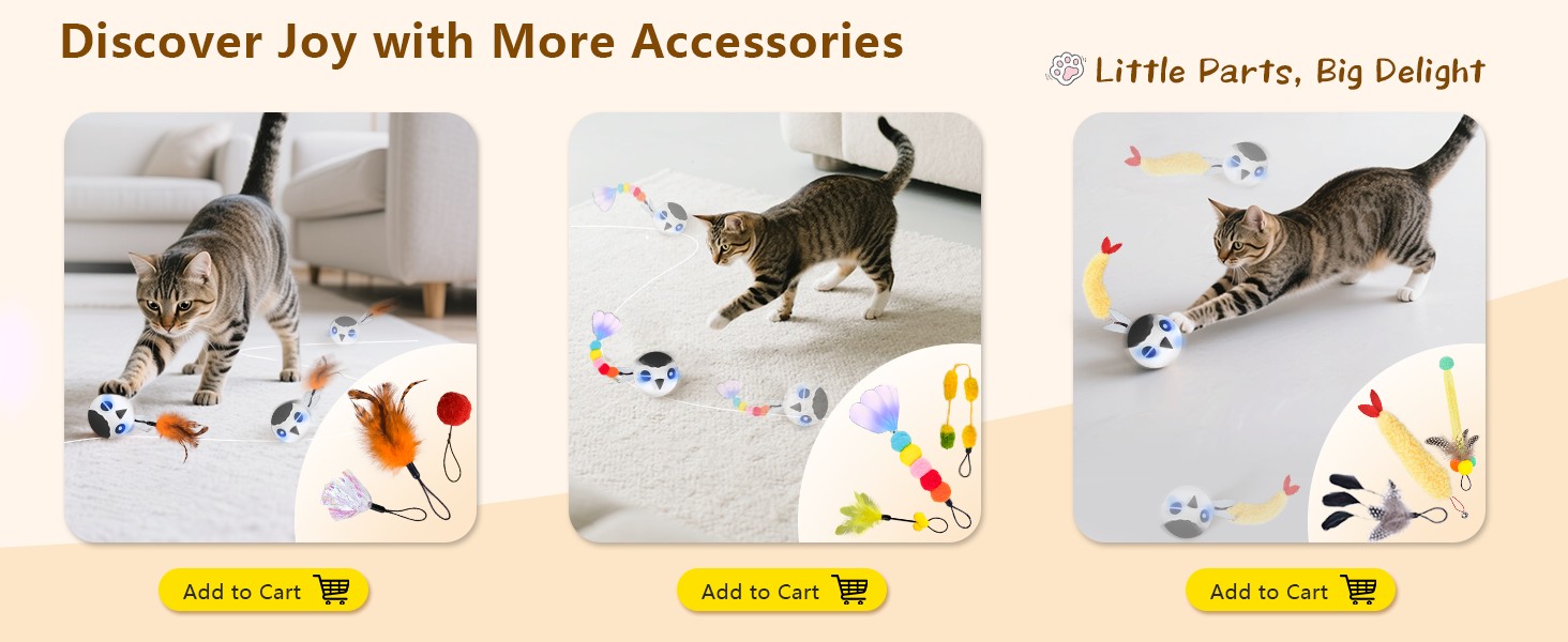 CAT TOY BALL