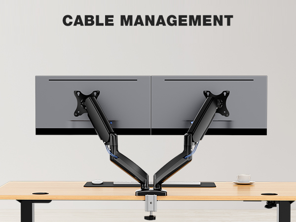 dual monitor stand for desk
