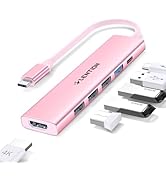 LENTION USB C Hub Multiport Adapter with 100W Charging, 4K HDMI, 4 USB-A Data Ports, Type C Hub f...