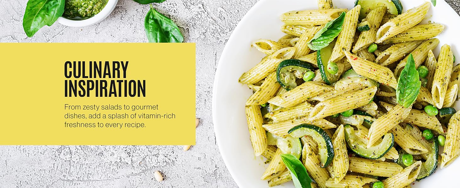 Large Lemon Squeezer Stainless Steel Press Manual Design Pro-Grade Lemon Lemon Juicer Squeezer