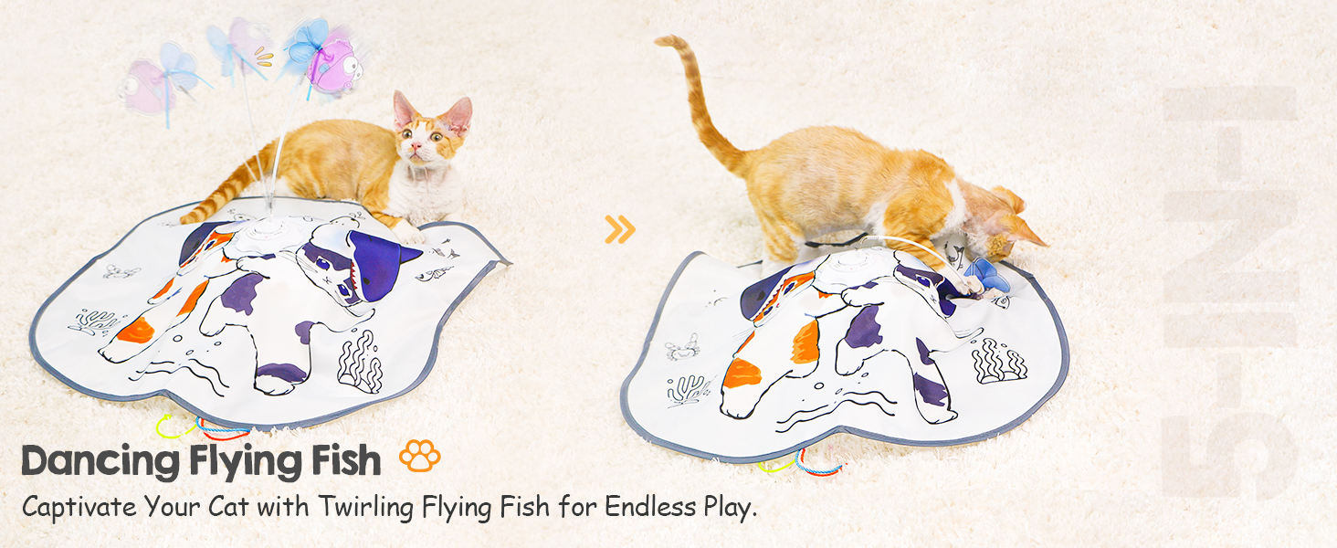 cat interactive toys