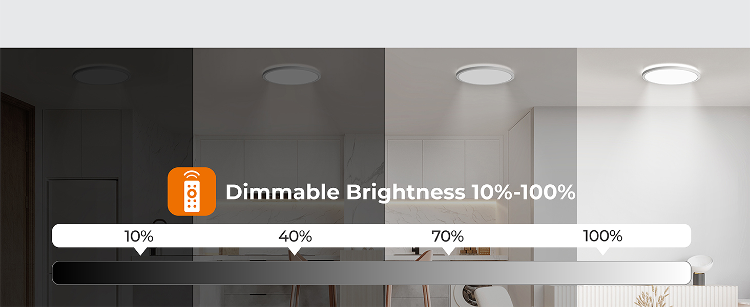 Motion Ceiling Light