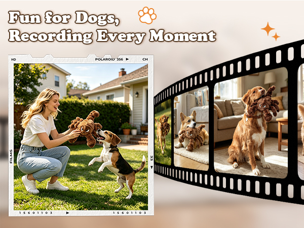 Dog Squeak Toys