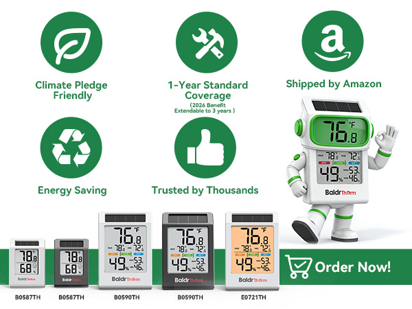 Digital Thermometer