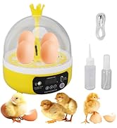 4 Eggs Mini Incubator with Transparent Lid,7W Automatic Temperature Humidity Control,Household Sm...
