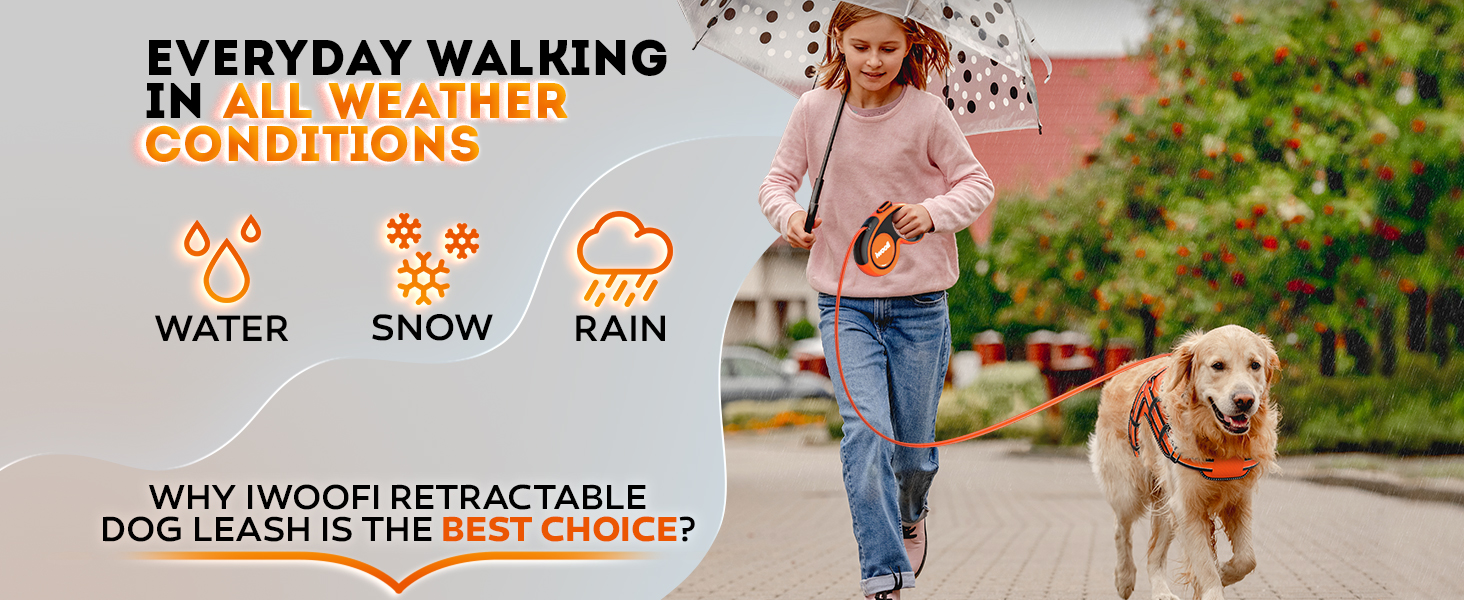 retractable dog leash dog leash retractable retractable leashes