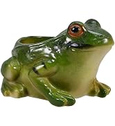 OSALADI Creative Frog-Shaped Ceramic Flowerpot for Succulent Plants Decorative Indoor Garden Plan...