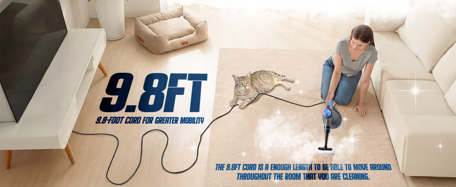 steam cleaner for home