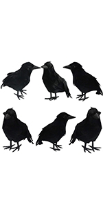 https://m.media-amazon.com/images/S/aplus-media-library-service-media/96058c7b-c916-4f6b-8443-6fc083807b21.__CR0,0,150,300_PT0_SX150_V1___.jpg