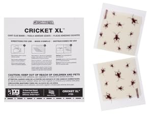 cricket xl glue trap