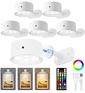 AMETHEUS Picture Lights for Wall, 2000mAh Rechargeable Magnetic Art Lights with 3 Color Temps & R...