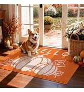 Ileading Fall Indoor Door Mat 2x3ft, Washable Muddy Mats for Dogs, Absorbent Hello Pumpkin Entran...