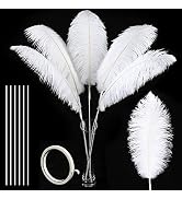 Soarer White Large Ostrich Feathers - 10Pcs Making Kit 34inch Extra Large Ostrich Feathers Long f...