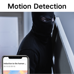 Motion Alerts