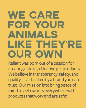 Yellow background with Reliant Pet mission statement about safe and natural pet products