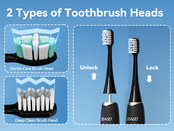 2 Types of Toothbrush Heads