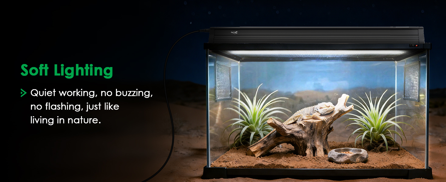 uvb light for bearded dragon