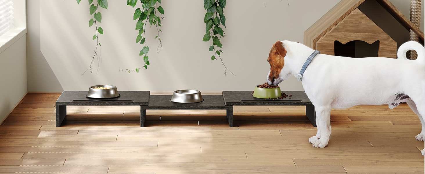 dual monitor stand riser