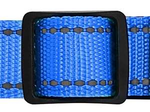 MYIWB Dog Collar Adjustable Buckle, Custom Fit for All Breeds, Heavy-Duty Nylon