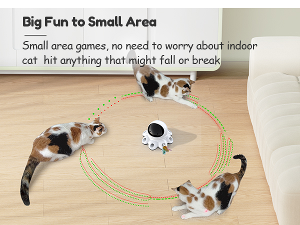 Kitten Toy