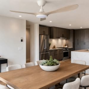 Fan in Kitchen