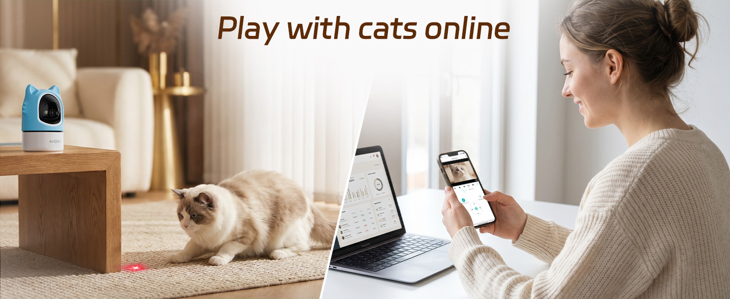 Play with your cat