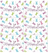 Easter Placemats Set of 6 Easter Rabbit Eggs Plastic Table Mats Easter Bunny Rabbit Place Mats Ru...