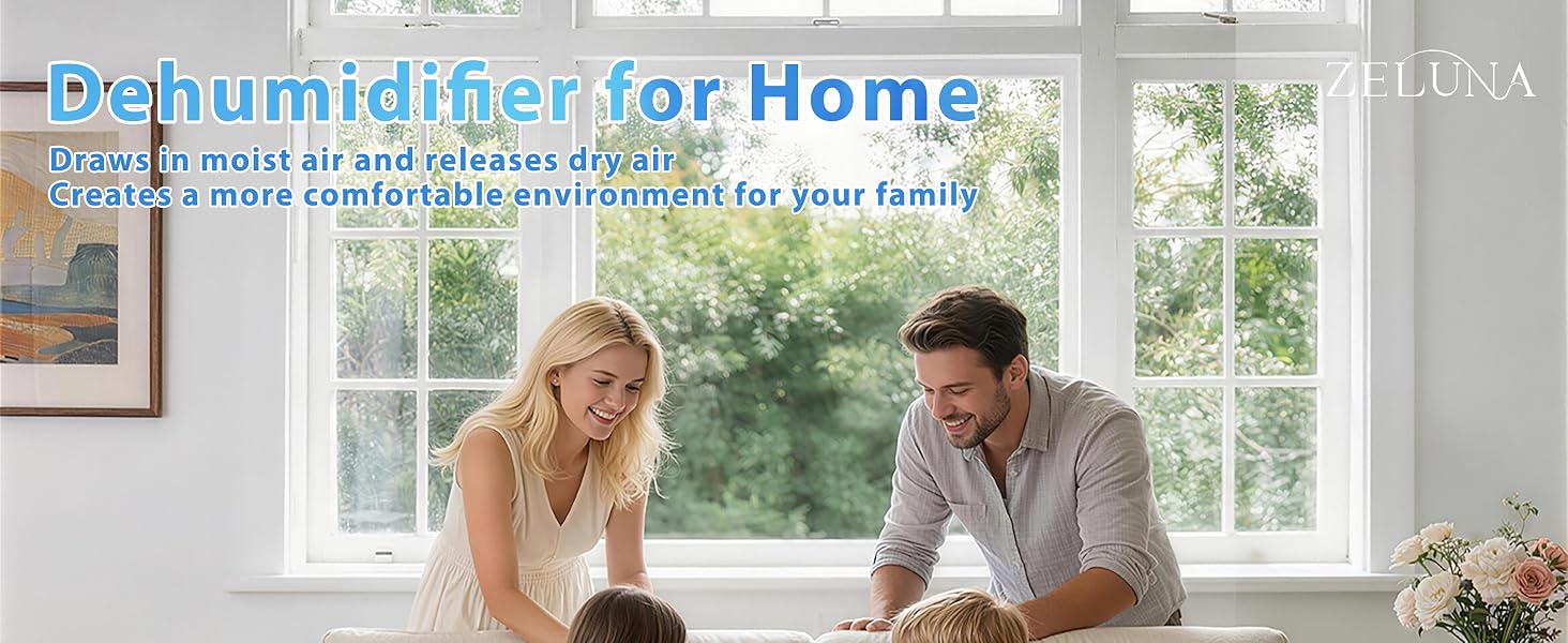 dehumidifier for home