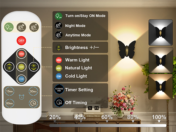 Battery Operated Lights with Remote