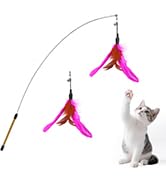 featherwand