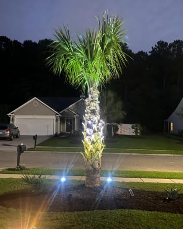 solar spot lights outdoor