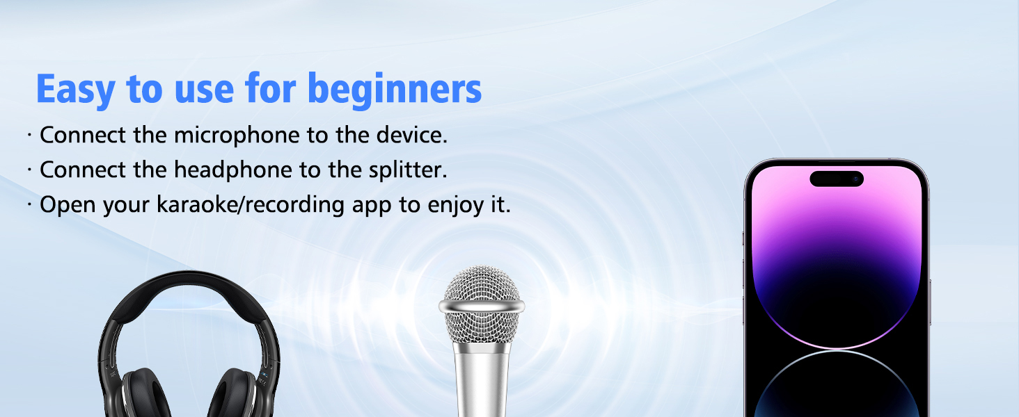 mini mic